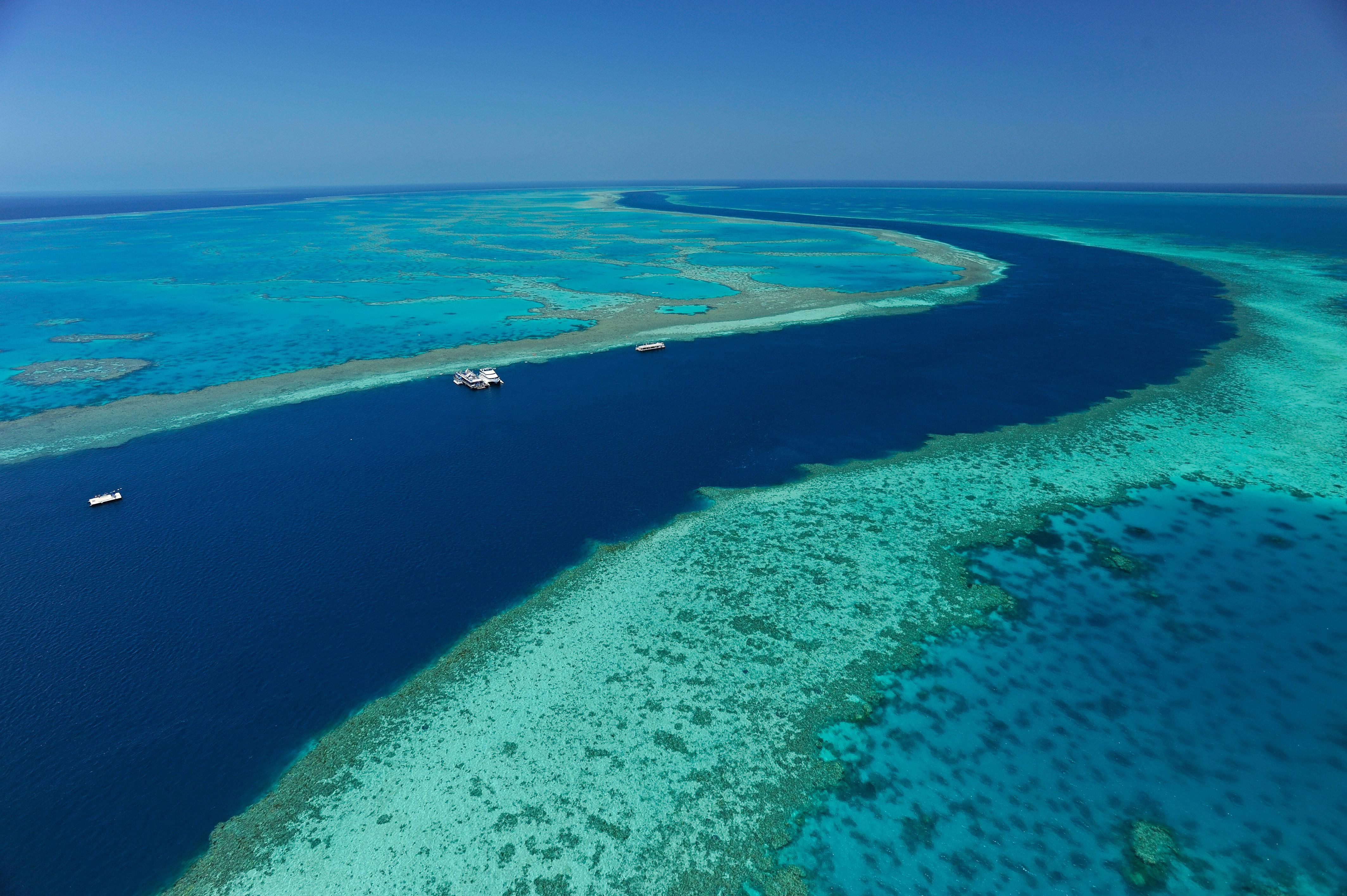 Reef View Hotel Гамільтон Екстер'єр фото
